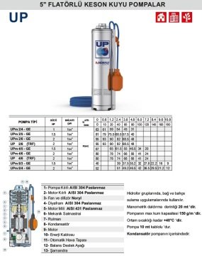 Pedrollo  UPm 8/3 GE   1.5Hp 220V    5\'\'  Flatörlü Keson Kuyu Dalgıç Pompa
