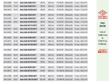 Astra Gold 40/80-220 F  DN 40 Frekans Kontrollü Sabit Mıknatıslı Flanşlı Tip Sirkülasyon Pompası