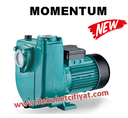 Momentum Phsm1500 1.5Hp 220v Kendinden Klapeli Pis Su Santrifüj Pompa