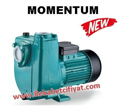 Momentum Phs2000 2Hp 380v Kendinden Klapeli Pis Su Santrifüj Pompa