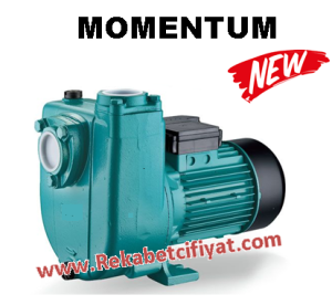 Momentum Phs2000 2Hp 380v Kendinden Klapeli Pis Su Santrifüj Pompa