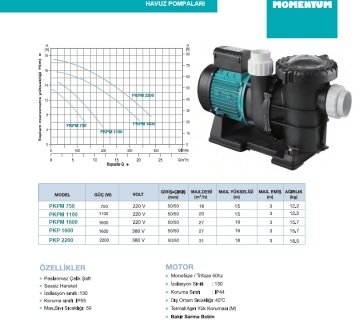 PKPM 1100 1100W 220V ÖN FİLİTRELİ HAVUZ POMPASI