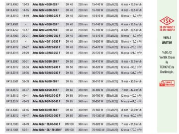 Astra Gold 80/80-360 F  DN 80 Frekans Kontrollü Sabit Mıknatıslı Flanşlı Tip Sirkülasyon Pompası