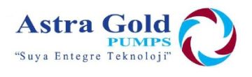 Astra Gold 80/80-360 F  DN 80 Frekans Kontrollü Sabit Mıknatıslı Flanşlı Tip Sirkülasyon Pompası
