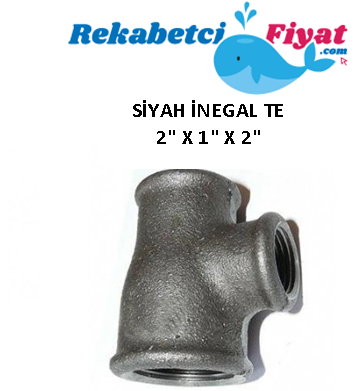 2'' X 1'' X 2'' Siyah İnegal Te