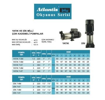 ATLANTİS YATIK 7-8M  3HP 220V Yatık Milli Çok Kademeli Pompa