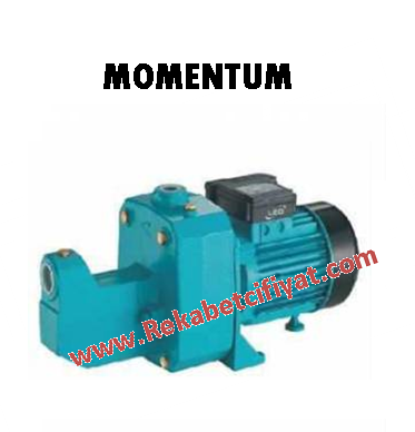 PKJ-1600L 2,1HP 220V DÖKÜM GÖVDELİ JET POMPA