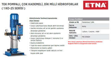 Etna 1 KO 25/6-55 7.5hp 380v Tek Pompalı Çok Kademeli Paket Hidrofor