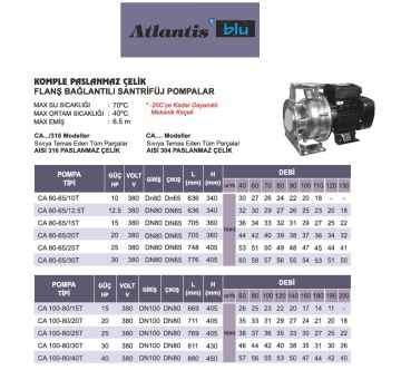 Atlantis Blu CA 100-80/40T    40Hp 380V   Komple Paslanmaz Monoblok Santrifüj Pompa