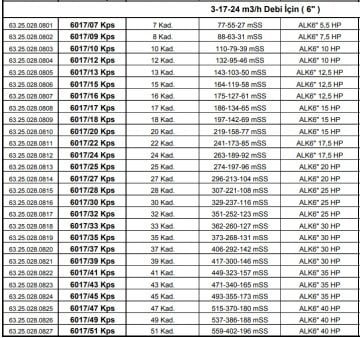 Alarko 6017/24 Kps  17.5Hp  6'' Paslanmaz Derin Kuyu Dalgıç Pompa (Motor+Pompa) ALK-KPS Serisi