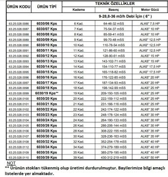 Alarko 6030/07 Kps  10Hp  6\'\' Paslanmaz Derin Kuyu Dalgıç Pompa (Motor+Pompa) ALK-KPS Serisi