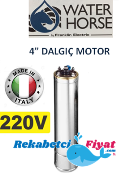 WATER HORSE WH020-M 2HP 220V 4'' Derin Kuyu Dalgıç Motor ( İtalyan Malı)