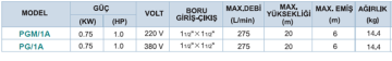 Momentum Pg/1A 1Hp 380v Tek Fanlı Santrifüj Pompa