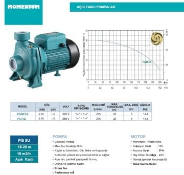 Momentum Pg/1A 1Hp 380v Tek Fanlı Santrifüj Pompa