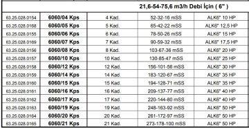 Alarko 6060/08 Kps  20Hp  6\'\' Paslanmaz Derin Kuyu Dalgıç Pompa (Motor+Pompa) ALK-KPS Serisi