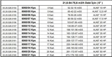 Alarko 6060/12 Kps  30Hp  6'' Paslanmaz Derin Kuyu Dalgıç Pompa (Motor+Pompa) ALK-KPS Serisi