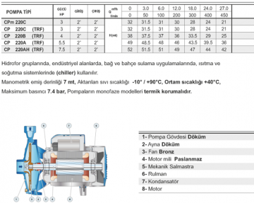 Pedrollo CP 220A 5.5hp 380v 2'' Çıkışlı Tek Fanlı Santrifüj Pompa