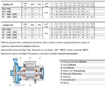 Pedrollo CP 210A 5.5hp 380v 1\'\' Çıkışlı Tek Fanlı Santrifüj Pompa