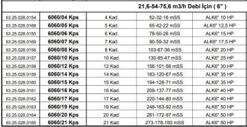Alarko 6060/21 Kps  50Hp  6\'\' Paslanmaz Derin Kuyu Dalgıç Pompa (Motor+Pompa) ALK-KPS Serisi