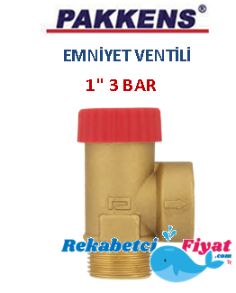 PAKKENS 1'' 3 Bar Sabit Basınçlı Emniyet Ventili (erkek)