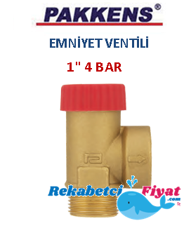 PAKKENS 1'' 4 Bar Sabit Basınçlı Emniyet Ventili (erkek)