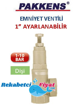 PAKKENS 1'' 1-10 Bar Ayarlanabilen Emniyet Ventili (dişi)