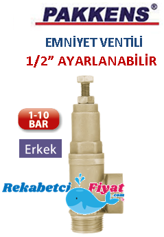 PAKKENS 1/2'' 1-10 Bar Ayarlanabilen Emniyet Ventili (erkek)