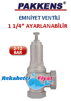 PAKKENS 1 1/4'' 2-12 Bar Ayarlanabilen Buhar Emniyet Ventili (dişi)