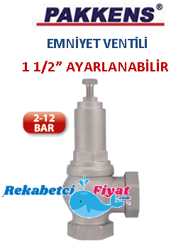 PAKKENS 1 1/2'' 2-12 Bar Ayarlanabilen Buhar Emniyet Ventili (dişi)