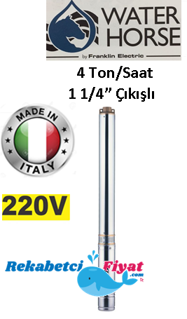 WATER HORSE 4WH 04-27 3HP 220V 1 1/4'' Çıkışlı Derin Kuyu Dalgıç Pompa (İtalyan Malı)