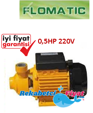 FLOMATİK PM 45 0.5Hp 220V Sürtme Fanlı Preferikal Pompa