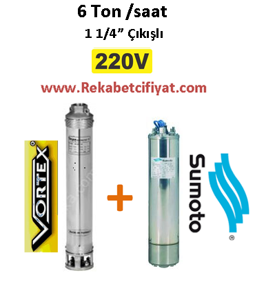 6 GM - 07 0,75HP 220V Vortex Pompa+ Sumoto Motor Derin Kuyu Dalgıç Pompası