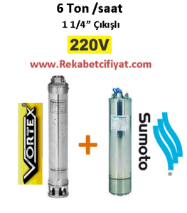 6 GM - 07 0,75HP 220V Vortex Pompa+ Sumoto Motor Derin Kuyu Dalgıç Pompası