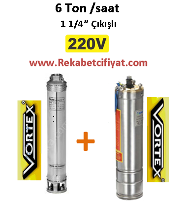 6 GM - 08 0,75HP 220V Vortex Pompa+ Vortex Motor Derin Kuyu Dalgıç Pompası