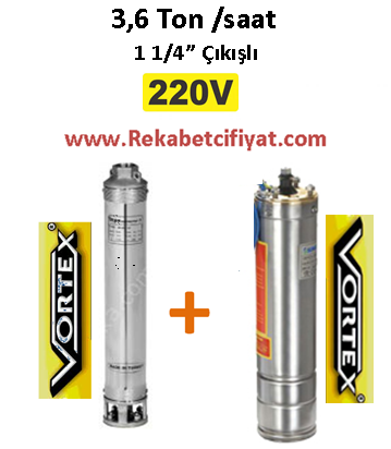 4 GM - 35 3HP 220V Vortex Pompa+ Vortex Motor Derin Kuyu Dalgıç Pompası
