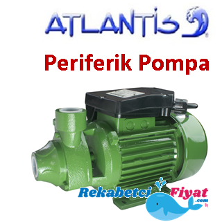 ATLANTİS P 450 0.5HP 220V Pereferik Pompa