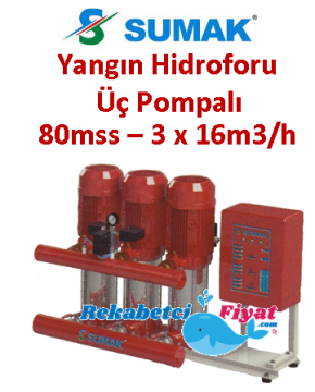 SUMAK SHT 24 C 1000/7 EEEY 10HP 380V Üç Pompalı Paket Yangın Hidrofor