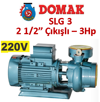 DOMAK SLG3 3HP 220V 2 1/2'' Çıkışlı Santrifüj Pompa 2900d/d