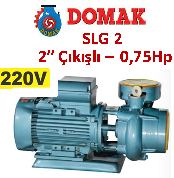 DOMAK SLG2 0.75HP 220V 2'' Çıkışlı Santrifüj Pompa 2900d/d