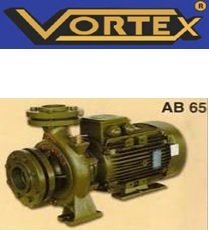 Vortex AB 65-100     10Hp 380V    Yatay Monoblok Santrifüj Pompa