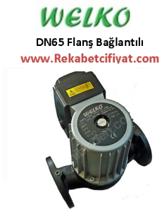 WELKO GPD-65-5F 380V DN65 Flanşlı Tek Hızlı Sirkülasyon Pompası