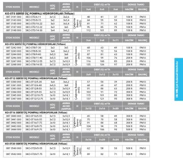 Etna 3KO-ST16/7-75  3x10Hp 380V Üç Pompalı Komple Paslanmaz Çelik Dik Milli Sabit Devirli Hidrofor (Aisi 304)