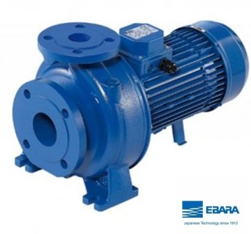 Ebara 3D 32-125/1.1   1.5Hp 380V  Yatay Milli Döküm Santrifüj Pompa