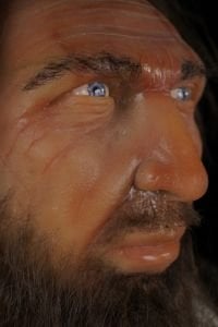 İlk İnsan – Homo Sapiens Balmumu Silikon Heykeli (FİYAT ALINIZ)