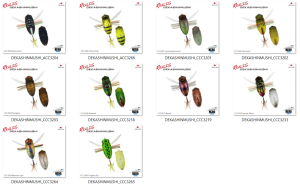 Realis Dekashinmushi CCC3239 Sight Bug