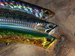 Realis Pencil Popper 148  AJA3055 / Chart Gill Halo