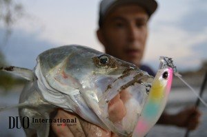 Terrif DC- 7 Bullet  ADA0119 / Pink Sardine