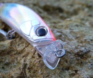 Terrif DC- 7 Bullet  DHA0327 / Red Mullet