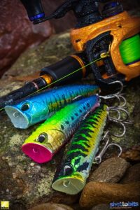 Realis Fangpop 105 ACC3524 / Fang Chartreuse