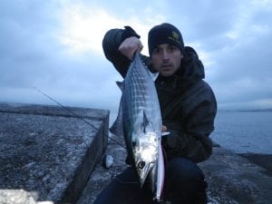 Tide Minnow Slim Flyer 175 GHA0327 Red Mullet